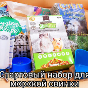 Стартовий набір для  морської свинки