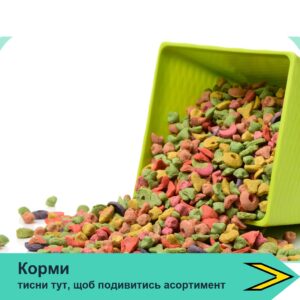 Корми