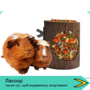 Ласощі
