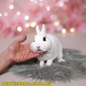 Татусь кроленят